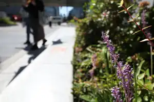 2025-10-00 Osaka, Japan - Osaka (49).webp